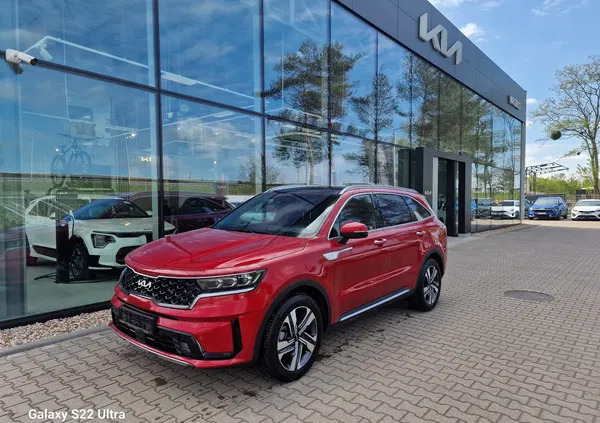 kia sorento Kia Sorento cena 239900 przebieg: 8, rok produkcji 2023 z Wrocław